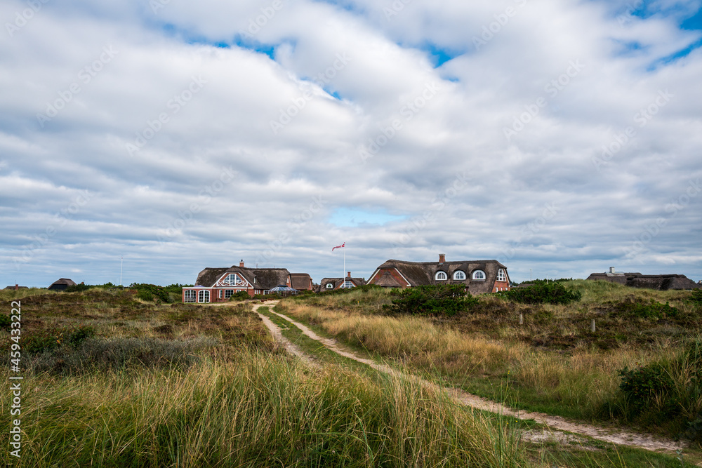 Fototapeta premium cabins in the dunes