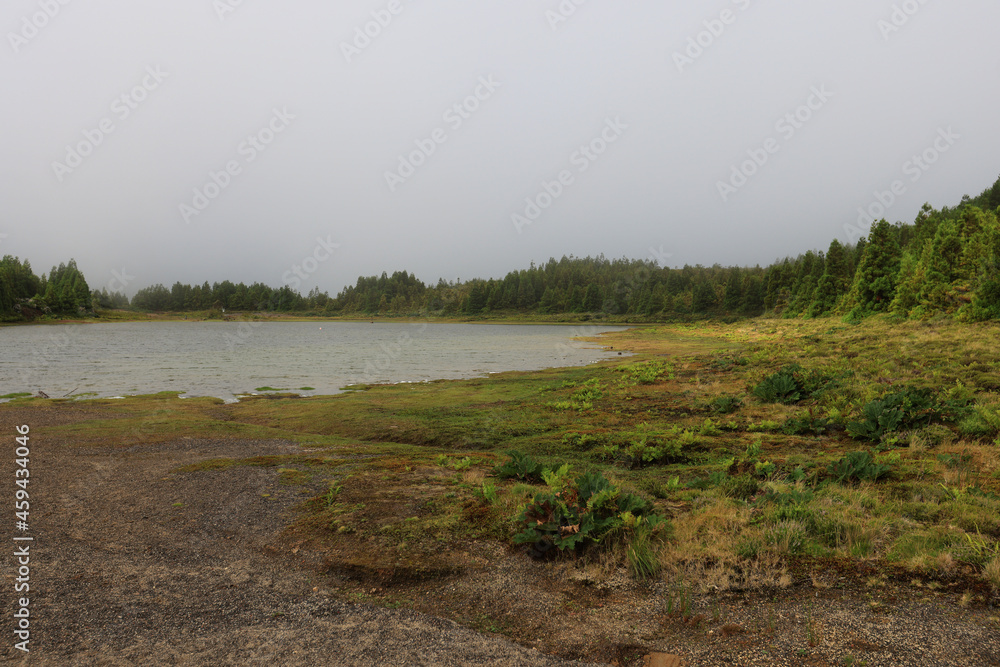 Lagoa Rasa, Sao Miguel Island, Azores Lagoa Rasa, Sao Miguel Island, Azores