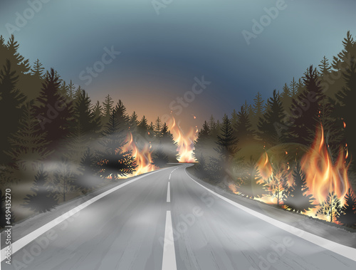 Vector forest fire, pine trees in fire flames and long road. Nature concept illustration background