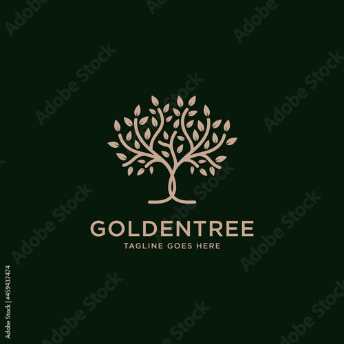 Golden Tree Oak Banyan Maple logo design vector