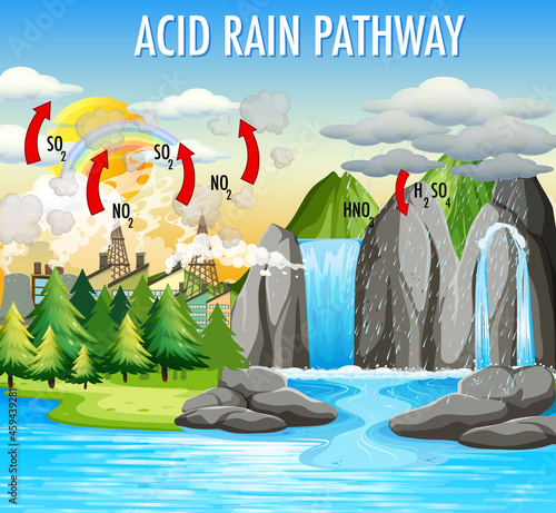 Diagram showing acid rain pathway