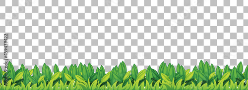 Green grass on transparent background
