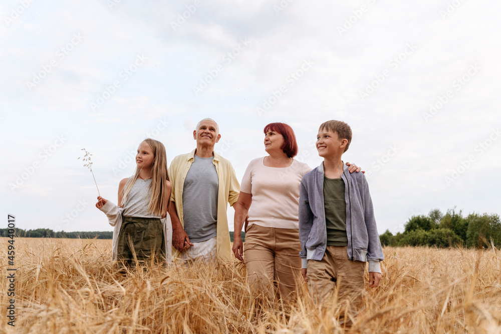 Siblings walking with grandparents on wheat field Siblings walking with grandparents on wheat field