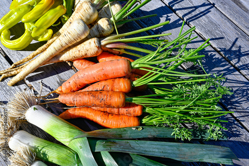Fotografi freshly picked vegetables in private garden september 2021