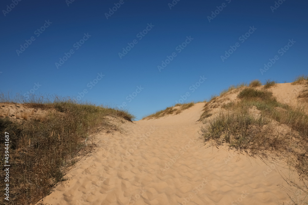 Picturesque view of desert on sunny day