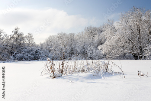 winter landscape field covered by snow © Elena Umyskova