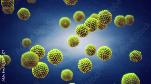 Animation of Herpes simplex viruses ( HSV ) . Blisters or cold sores are caused by Herpes virus infection. photo