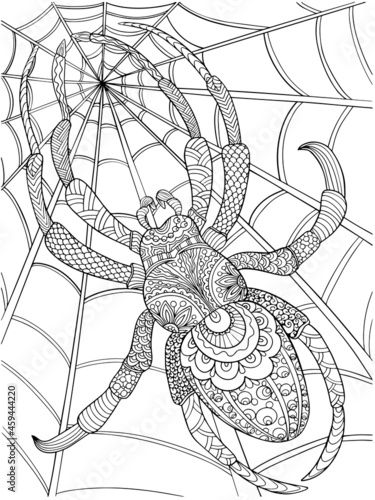 spider coloring outline on a white background illustration antistress for children and adults holiday cobweb insect page book print