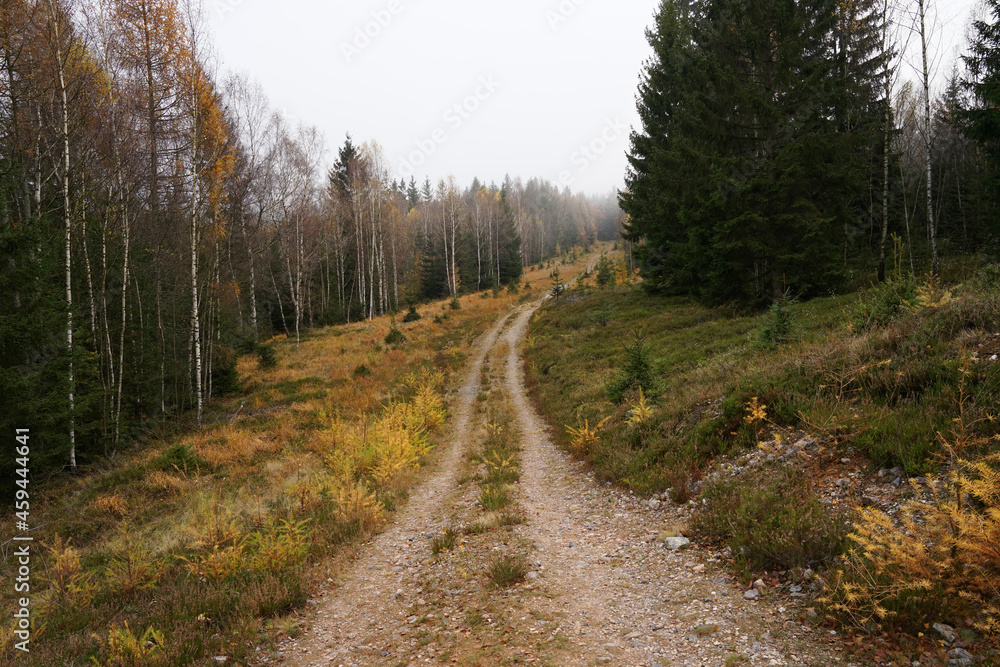 Brdy military area in autumn, abandoned road, Czech Republic Brdy military area in autumn, abandoned road, Czech Republic