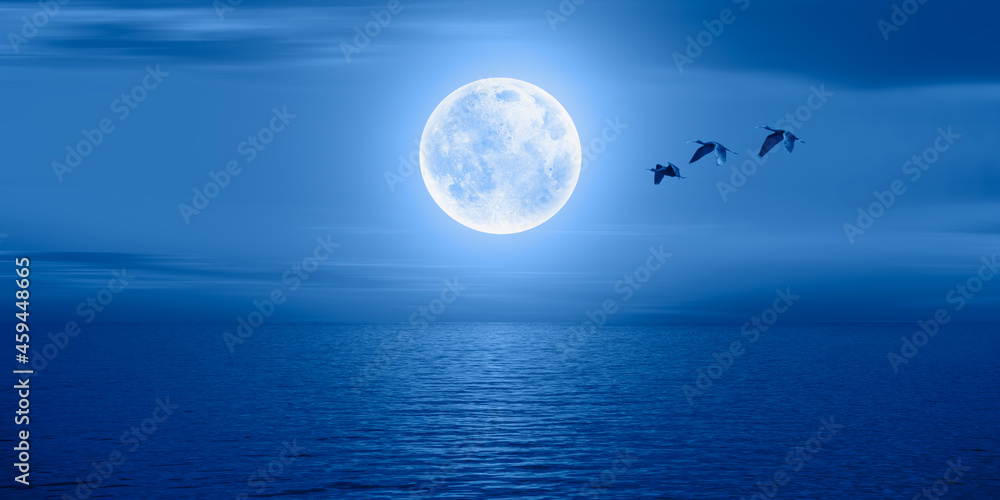 Migratory Birds Flying In The Sky with full blue moon  
