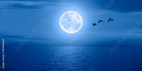 Migratory Birds Flying In The Sky with full blue moon  "Elements of this image furnished by NASA "
