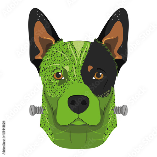 Halloween greeting card. Australian Cattle dog colored in green and dressed as a monster with screws in the neck