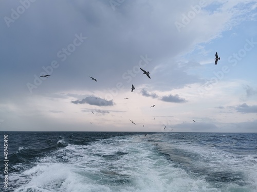 A view from back of the motorboat towards the sea ocean with the seaguls flying in the back