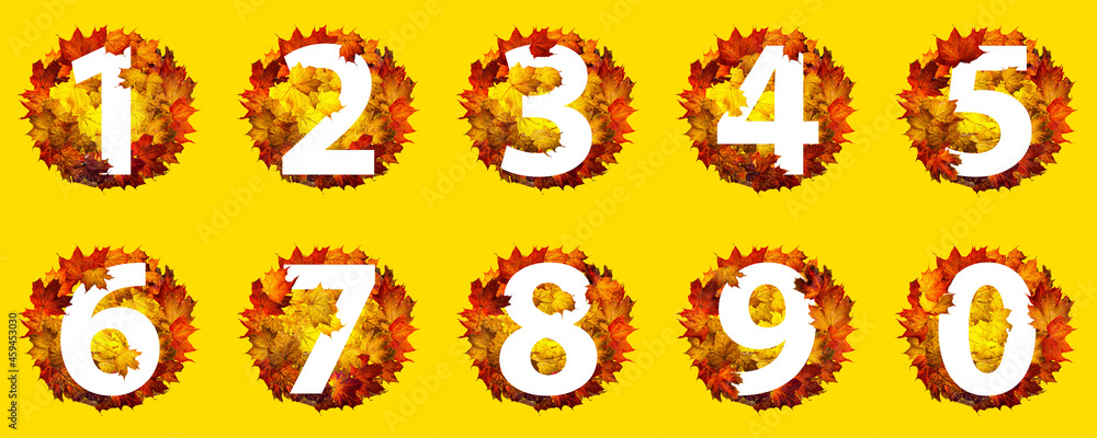Numbers of autumn leaves isolated on yellow background. Set of numbers made of autumn leaves. Numbers of autumn leaves isolated on yellow background. Set of numbers made of autumn leaves.