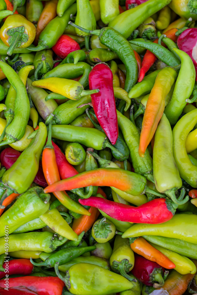 Mountain of red and green capsicum, ready for sale in a store or market. Finished product. Agricultural products fair. Mountain of red and green capsicum, ready for sale in a store or market. Finished product. Agricultural products fair.