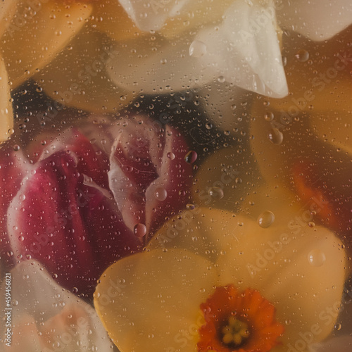 Beautiful tulip and narcissus flowers background with water drops under glass surface