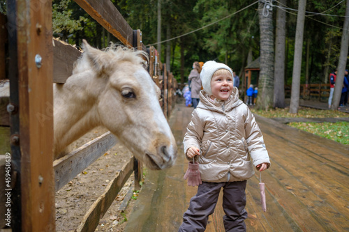 A little girl laughs cheerfully while standing next to a foal in a petting zoo. Friendship of children and animals. The girl is wearing a jacket and a hat.