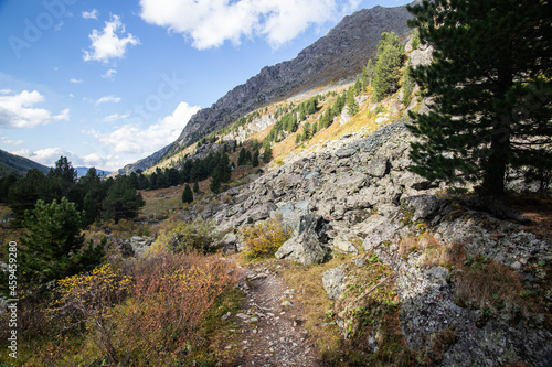 landscape of Alpine valley