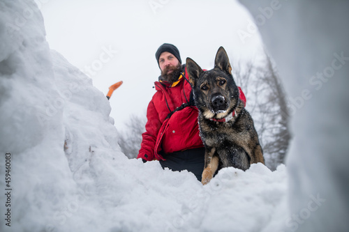 Fotografering Low angle view of mountain rescue service man with dog on operation outdoors in winter in forest, digging snow