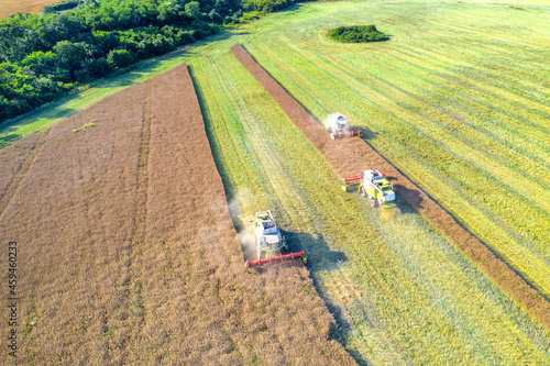 Harvesting time. Agriculture. Agricultural industry. Aerial view of combine harvesters harvest field