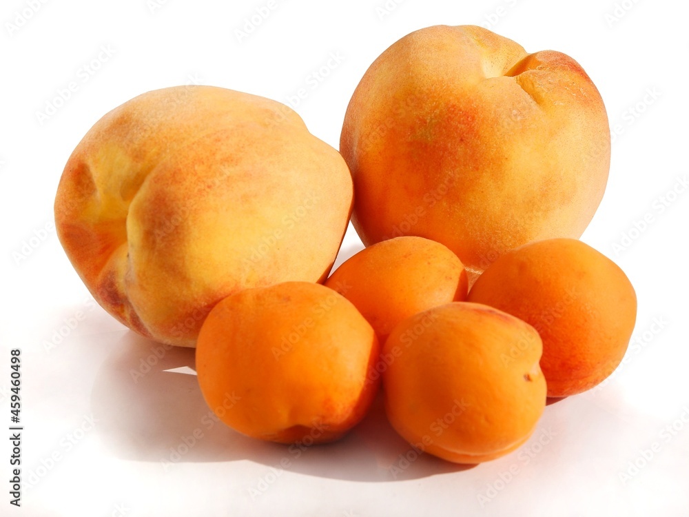 orange,sweet,delicious fruits peaches and apricots close up orange,sweet,delicious fruits peaches and apricots close up