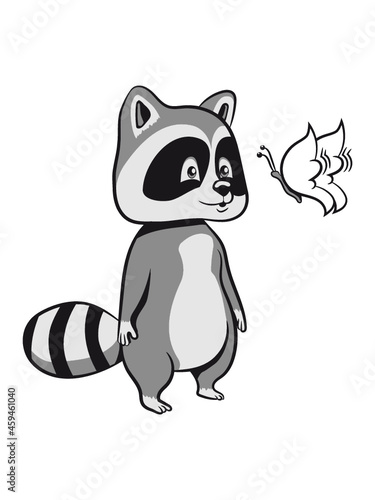 Waschbär lachen lächeln 
