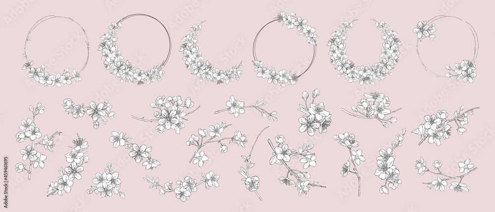 Hand drawn branches of sakura with blooms, flowers, leaves, petals. Modern line art style.