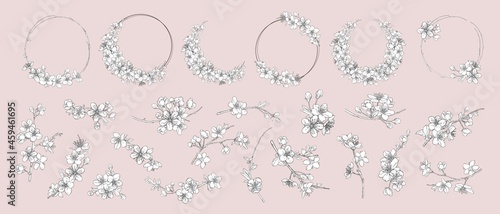 Hand drawn branches of sakura with blooms, flowers, leaves, petals. Modern line art style.