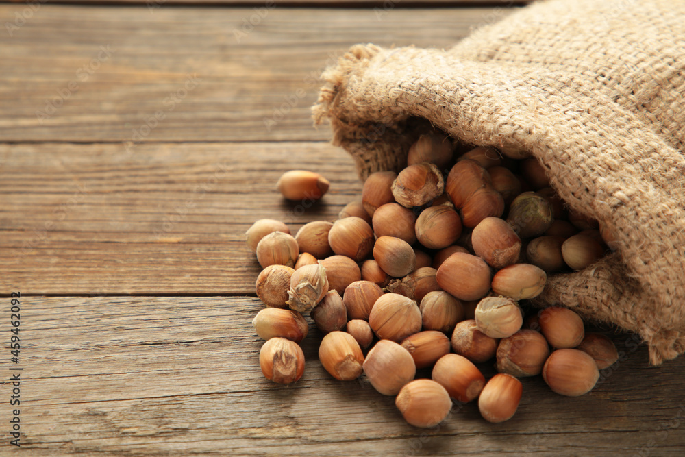 Hazelnuts, filbert in burlap sack on grey wooden backdrop. Hazelnut background, healty food Hazelnuts, filbert in burlap sack on grey wooden backdrop. Hazelnut background, healty food