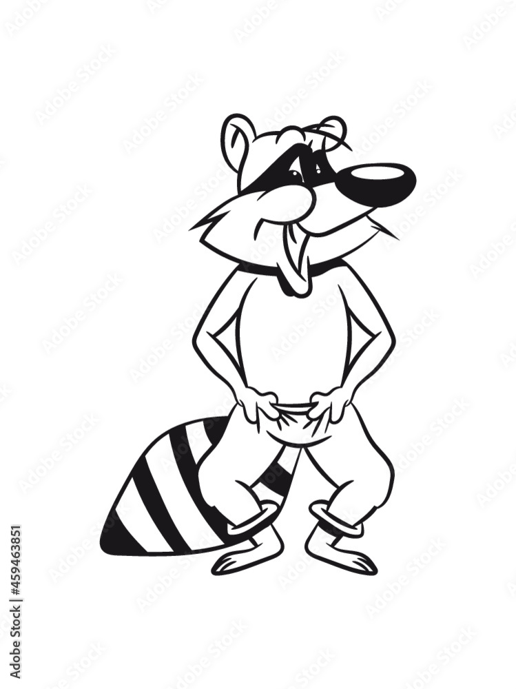 Waschbär lachen lächeln Waschbär lachen lächeln