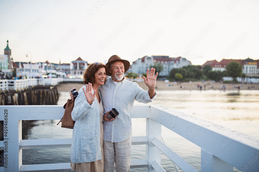 Happy senior couple vawing outdoors on pier by sea, posing for photo.