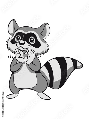 Waschbär lachen lächeln 
