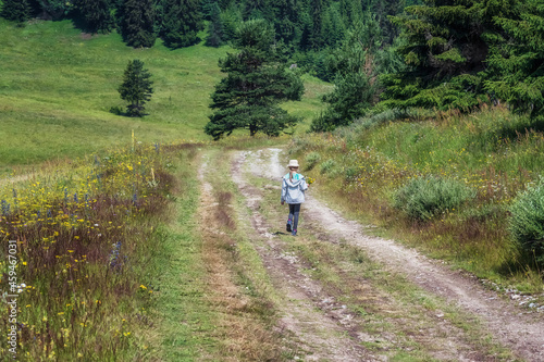 Little girl walking on a forest path passing through a picturesque summer meadow and coniferous forest