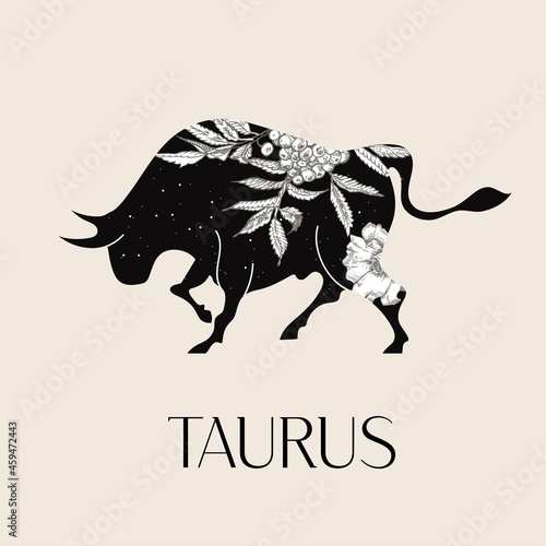 Zodiac sign Taurus. The symbol of the astrological horoscope.