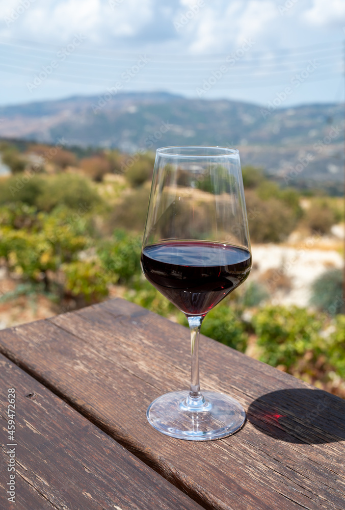 Wine industry of Cyprus island, tasting of red dry wine on winery with view on vineyards and south slopes of Troodos mountain range.