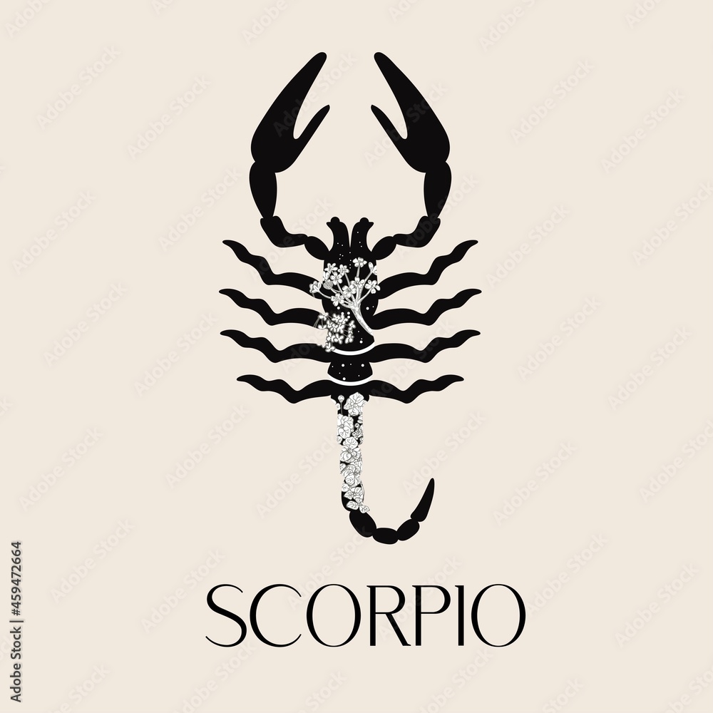 Zodiac sign Scorpio. The symbol of the astrological horoscope. Zodiac sign Scorpio. The symbol of the astrological horoscope.