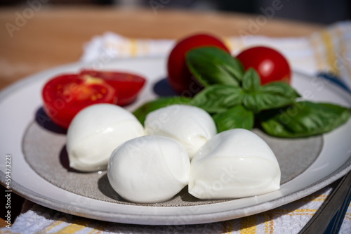 Cheese collection, white balls of Italian soft cheese mozzarella served with fresh tomatoes and basil