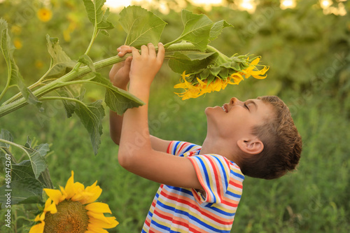 Cute little boy with blooming sunflower in field. Child spending time in nature