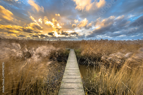 Houten loopbrug door schor