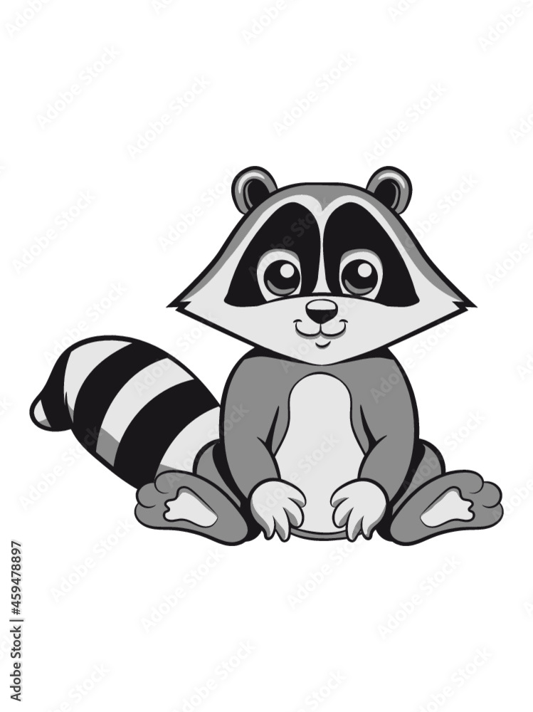 Waschbär freundlich lächeln Waschbär freundlich lächeln