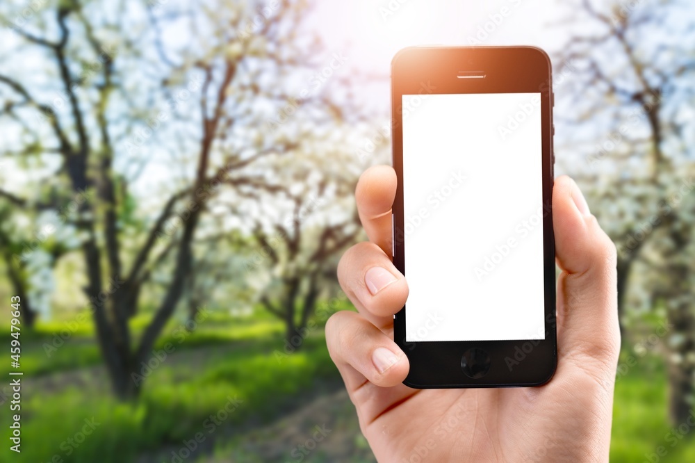 The farmer holds a smartphone and touches the screen on landscape The farmer holds a smartphone and touches the screen on landscape