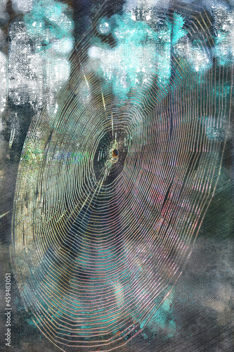 A spider in the center of a shiny web. Morning sunlight illuminates the insect. Arthropod in its natural habitat. Digital watercolor painting.
