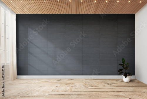 Rubber fig in a gray room