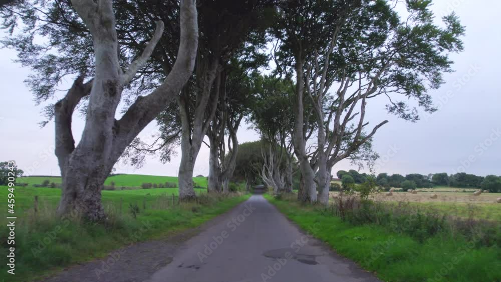 The Dark Hedges in Northern Ireland a Popular Tourist Attraction The Dark Hedges in Northern Ireland a Popular Tourist Attraction
