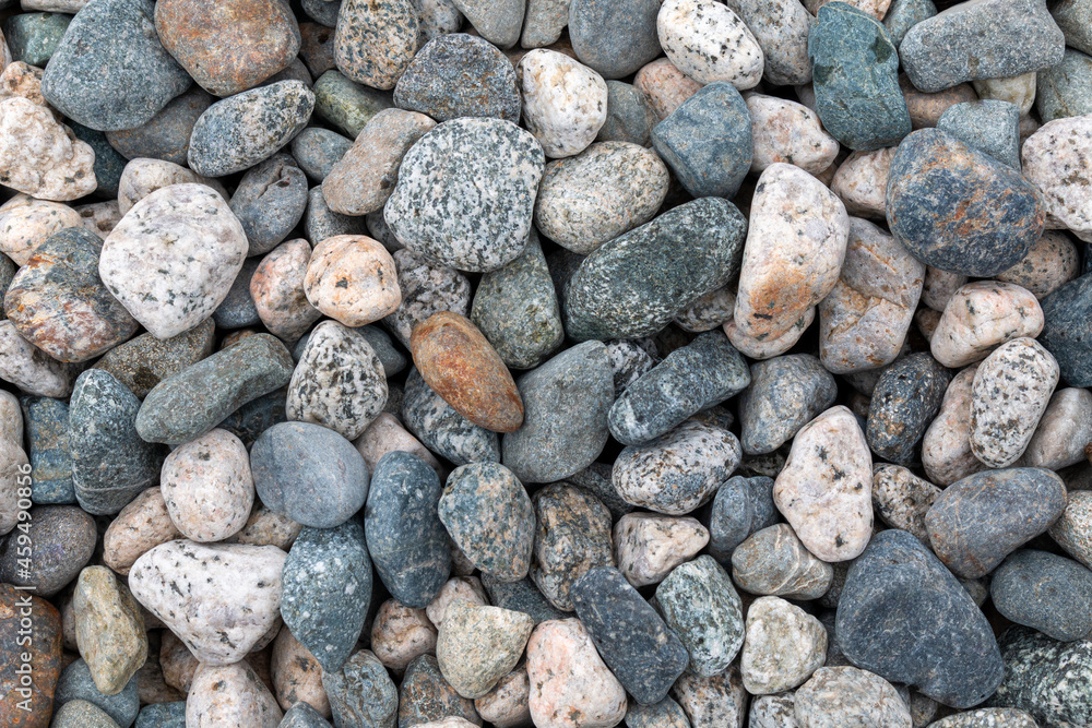 Stones at a pebble beach background. West coast or PNW detail. Stones at a pebble beach background. West coast or PNW detail.