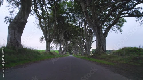 Wallpaper Mural The Dark Hedges in Northern Ireland a Popular Tourist Attraction Torontodigital.ca