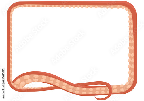 Octopus tentacle rectangular frame isolated on white background. Monster kraken arm. Cartoon vector illustration. Underwater animal   feeler.