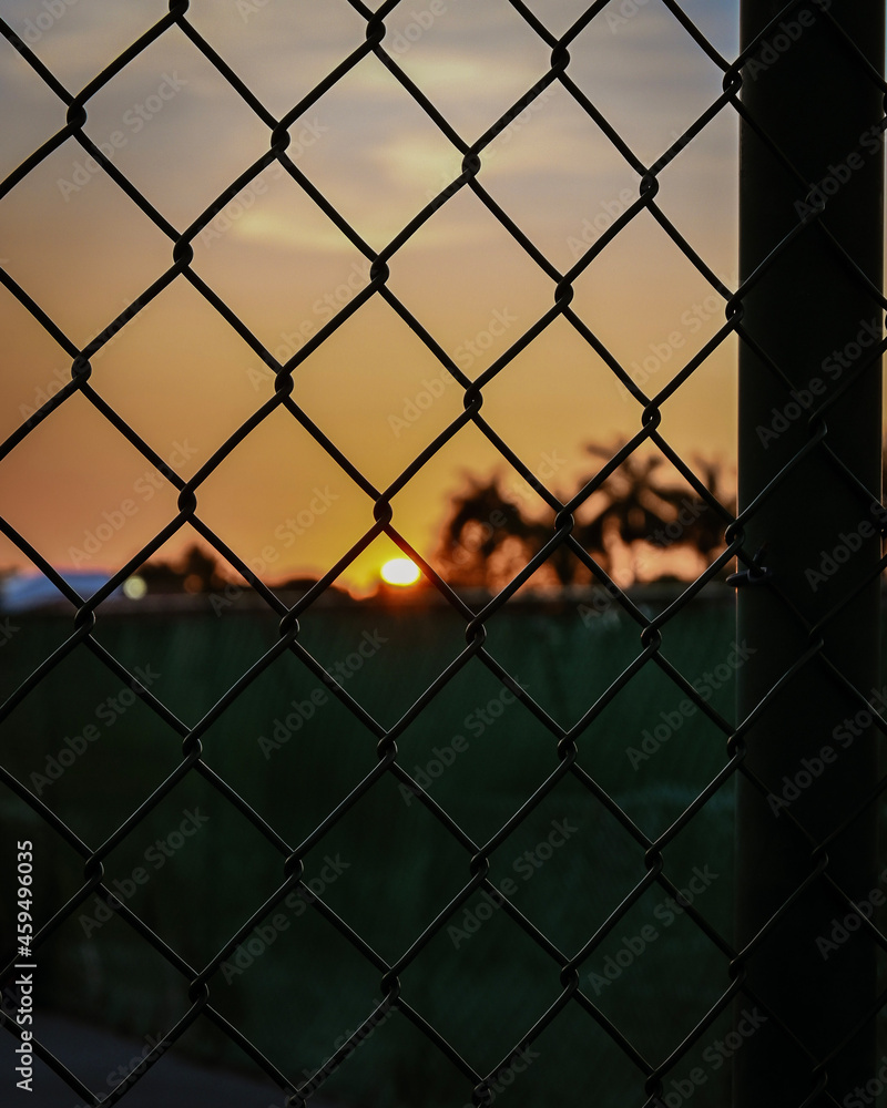 fence fence