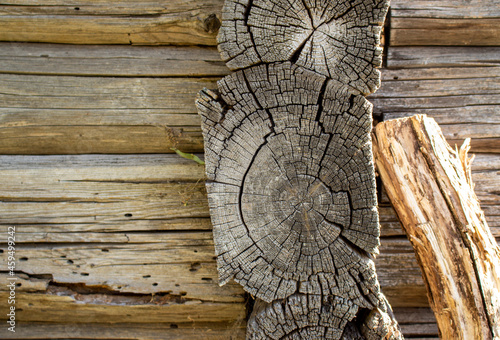 Logs of a wooden house. The house is made of timber. Wall of wooden logs, closeup.