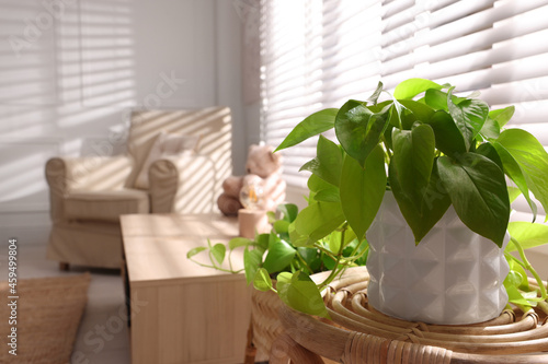 Beautiful houseplant on wooden table in room, space for text